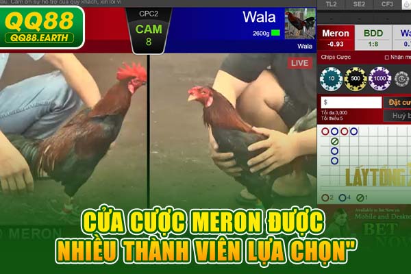 Cửa cược Meron được nhiều thành viên lựa chọn
