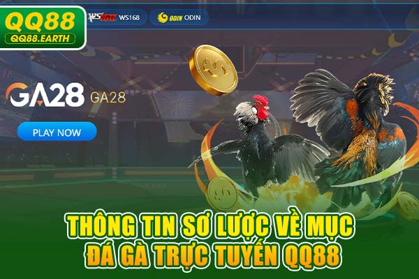 Thông tin sơ lược về mục đá gà trực tuyến QQ88
