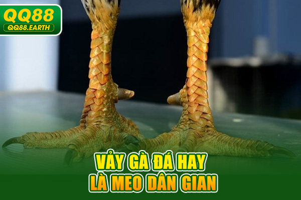 Vảy gà đá hay là meo dân gian
